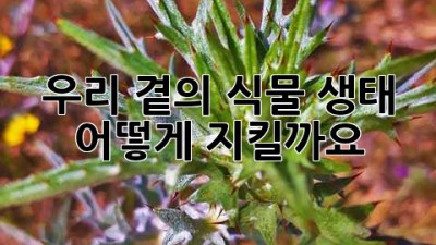 우리 곁의 식물 생태, 어떻게 지킬까요?
