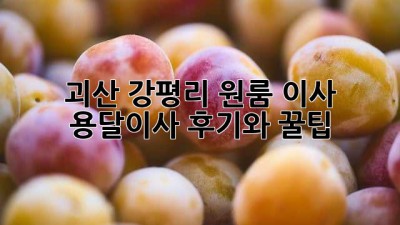 괴산 강평리 원룸 이사? 용달이사 후기와 꿀팁!