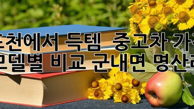 포천에서 득템?! 🚗 중고차 가격 모델별 비교 (군내면 명산리)